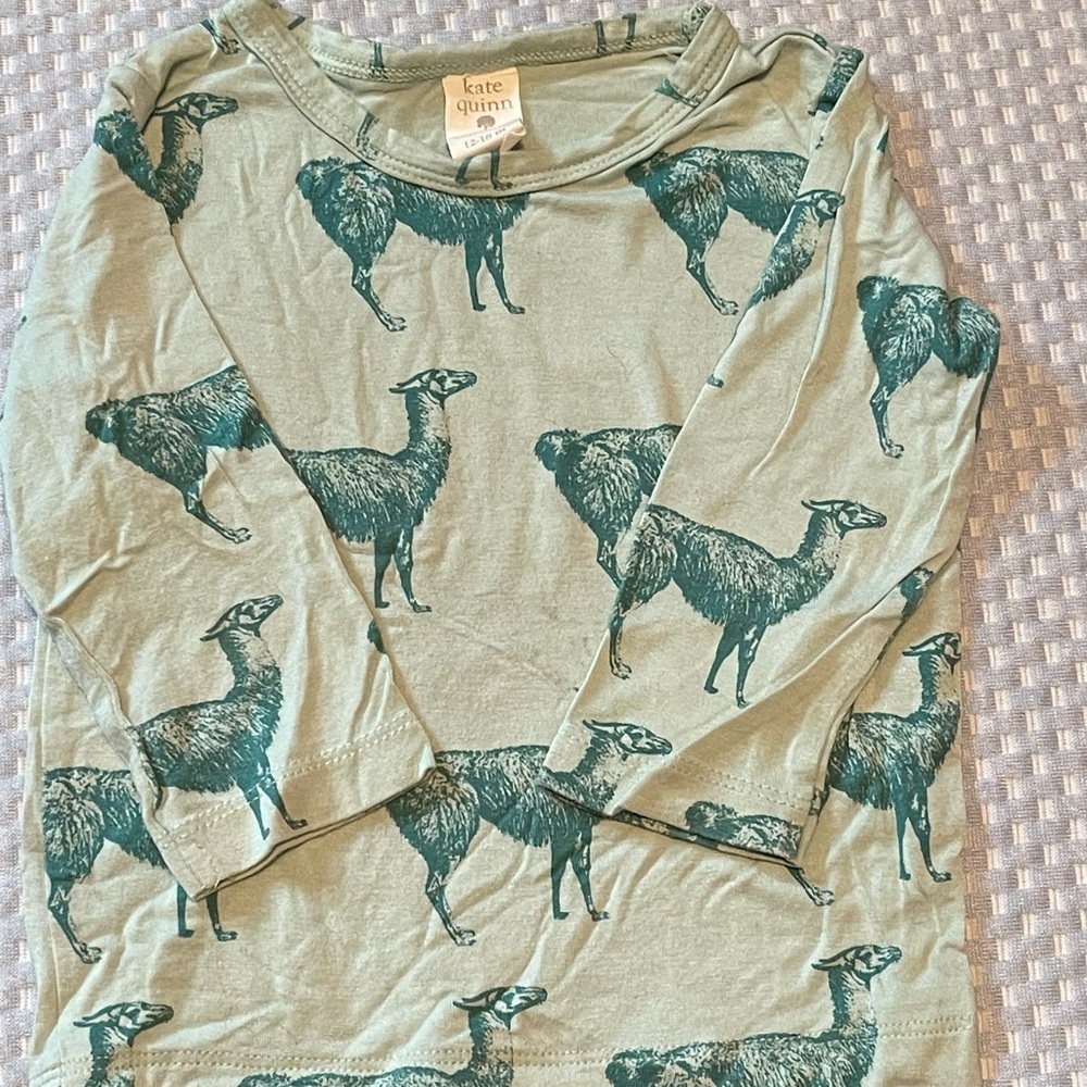 Kate Quinn Green Animal Print Long Sleeve Tee